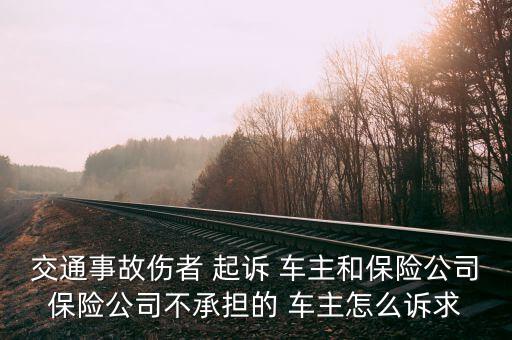 交通事故傷者 起訴 車主和保險公司保險公司不承擔(dān)的 車主怎么訴求