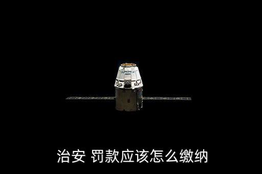  治安 罰款應(yīng)該怎么繳納
