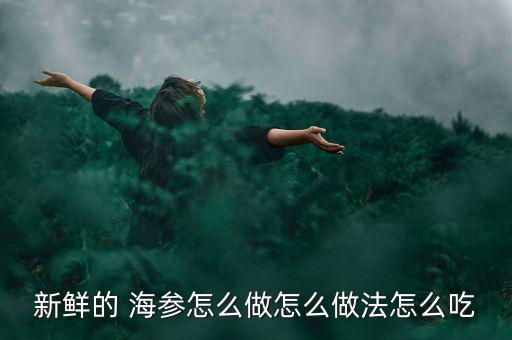 新鮮的 海參怎么做怎么做法怎么吃
