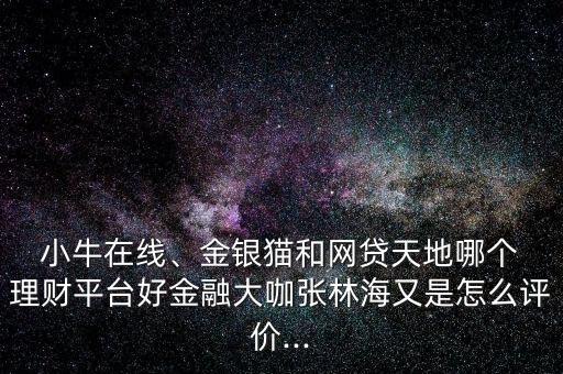  小牛在線、金銀貓和網(wǎng)貸天地哪個 理財平臺好金融大咖張林海又是怎么評價...