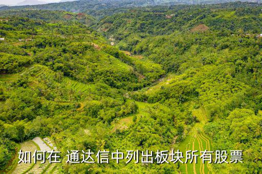 通達(dá)信怎么樣看港股,通達(dá)信股票交易軟件適合所有投資者使用