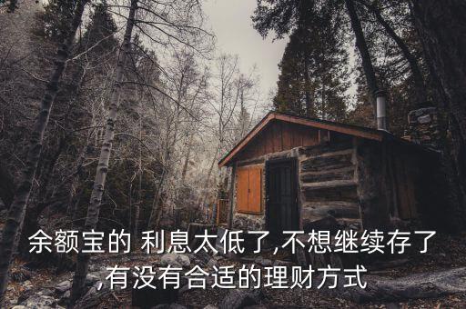 余額寶的 利息太低了,不想繼續(xù)存了,有沒有合適的理財方式