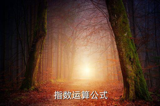 怎么算指數(shù),stock指數(shù)怎么算?