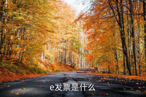 e票寶怎么使用,電子發(fā)票開票頁面出現(xiàn)兩種取票方式