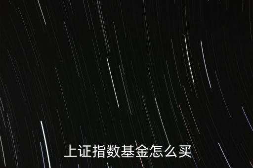  上證指數(shù)基金怎么買(mǎi)