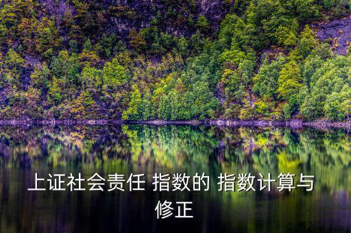 修正指數(shù)怎么算,新上證指數(shù)指數(shù)簡稱新綜指