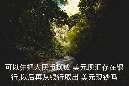 換了美元后怎么處理,如果您稍后需要提取外幣現(xiàn)金請選擇現(xiàn)金