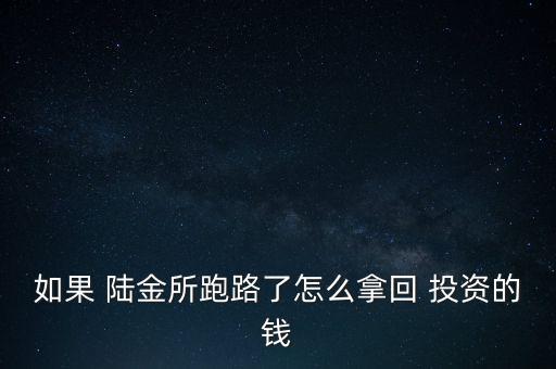 如果 陸金所跑路了怎么拿回 投資的錢