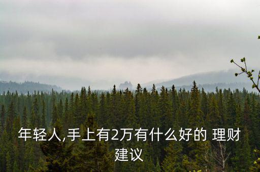 年輕人,手上有2萬(wàn)有什么好的 理財(cái)建議