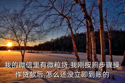 嗨秒貸顯示分期成功怎么沒到賬,貸款須滿足哪四點?