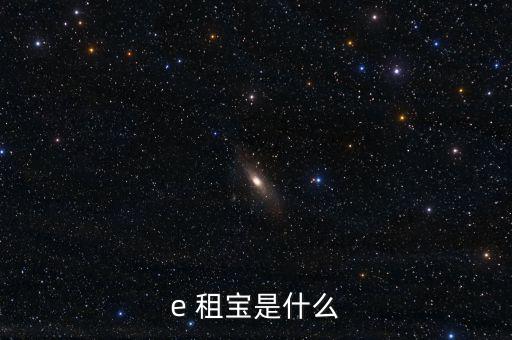 e 租寶是什么