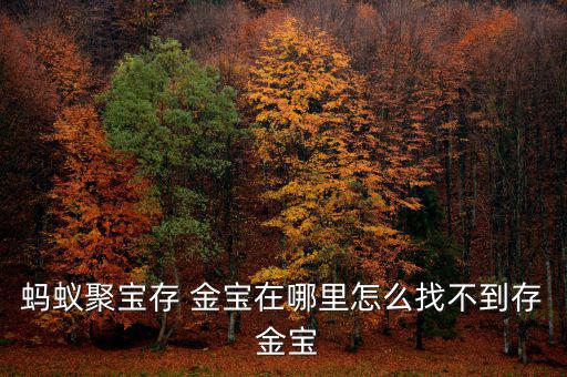 螞蟻聚寶存 金寶在哪里怎么找不到存 金寶