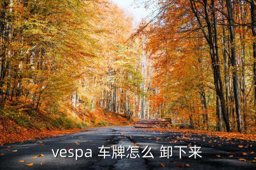怎么把車牌卸下來,拆車牌需先用螺絲刀切斷固定扣再用手