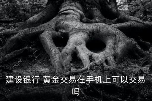 建行怎么買紙黃金,黃金交易不收手續(xù)費紙黃金