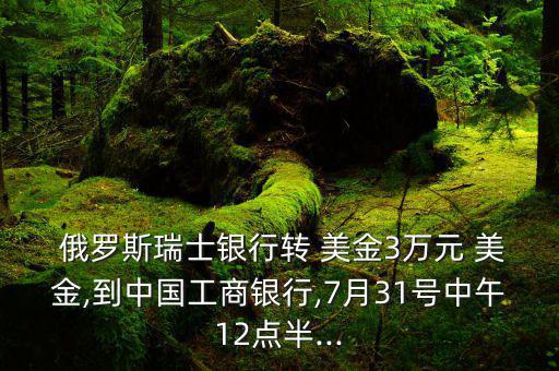 俄羅斯匯不出美金怎么辦,美國全面阻止俄羅斯央行進行美元交易