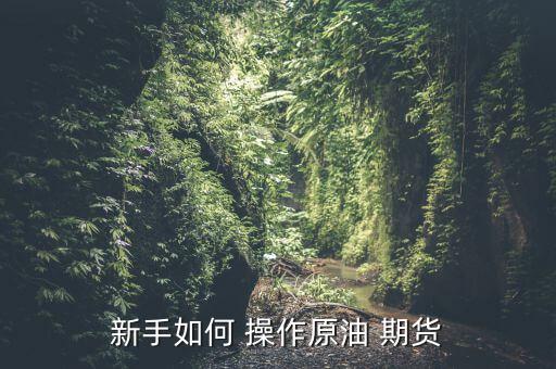 選好期貨品種后要怎么操作,股市期貨知多少