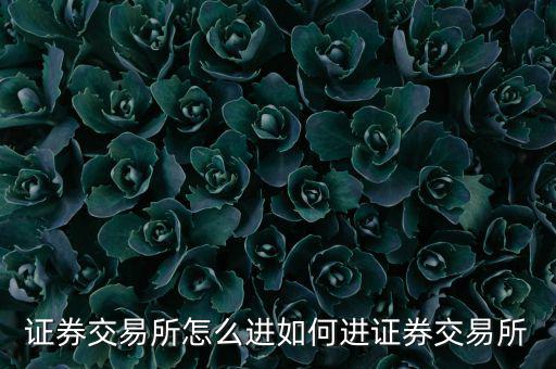 證券交易所怎么進(jìn)如何進(jìn)證券交易所