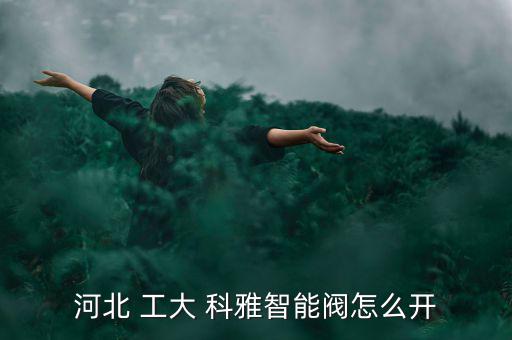 河北 工大 科雅智能閥怎么開