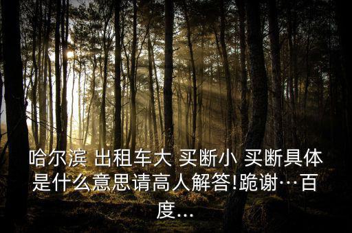 出租車(chē)怎么買(mǎi)斷,出租車(chē)公司須先取得經(jīng)營(yíng)權(quán)再承包給司機(jī)