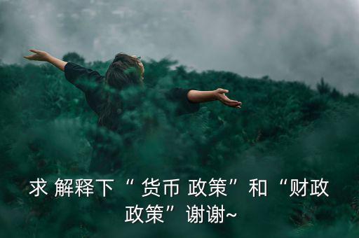 貨幣政策怎么解釋,金融政策是整個國民經(jīng)濟組成部分政策