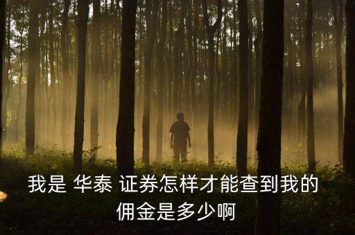 我是 華泰 證券怎樣才能查到我的 傭金是多少啊