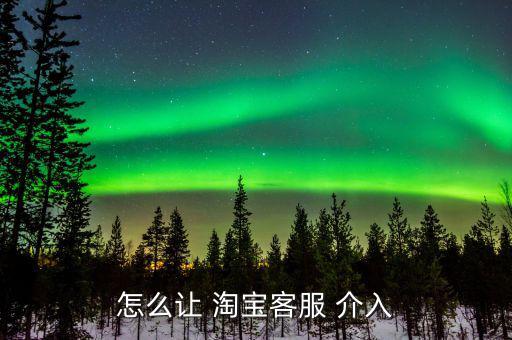 怎么讓 淘寶客服 介入