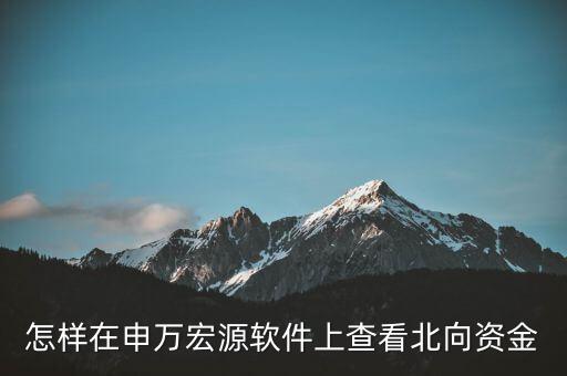 怎樣在申萬(wàn)宏源軟件上查看北向資金
