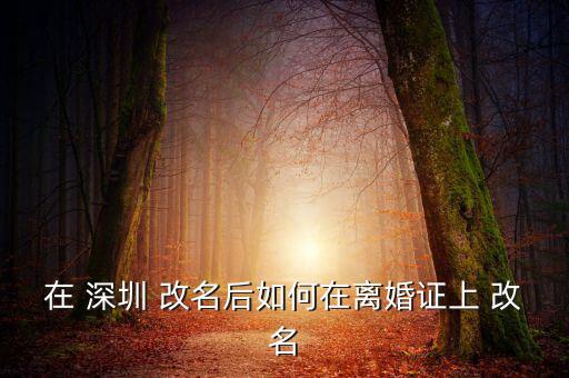 在 深圳 改名后如何在離婚證上 改名