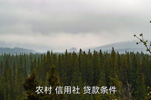  農(nóng)村 信用社 貸款條件