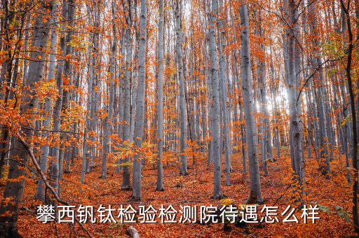 攀西釩鈦檢驗檢測院待遇怎么樣