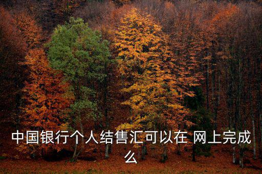 中國銀行個人結(jié)售匯可以在 網(wǎng)上完成么