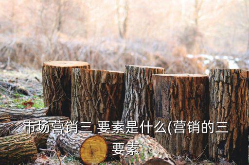 市場(chǎng)三要素怎么理解,市場(chǎng)營(yíng)銷三要素（一）