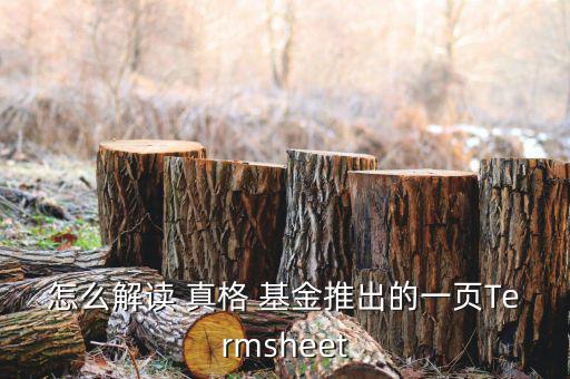 怎么解讀 真格 基金推出的一頁(yè)Termsheet