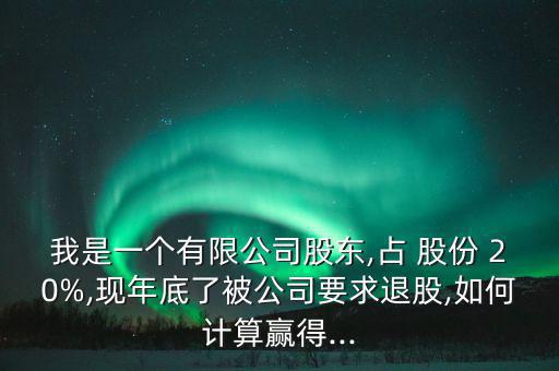 我是一個有限公司股東,占 股份 20%,現(xiàn)年底了被公司要求退股,如何計算贏得...