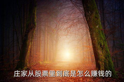  莊家從股票里到底是怎么賺錢(qián)的