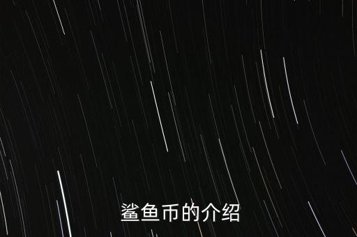 鯊魚(yú)幣怎么挖,比特幣是共識(shí)網(wǎng)絡(luò)推動(dòng)了一個(gè)全新的支付系統(tǒng)