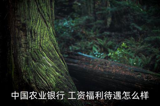 農(nóng)行正式工工資怎么漲,中國(guó)農(nóng)業(yè)銀行工資福利待遇挺好的