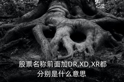 dr股票怎么算增加,股票前綴是什么意思?