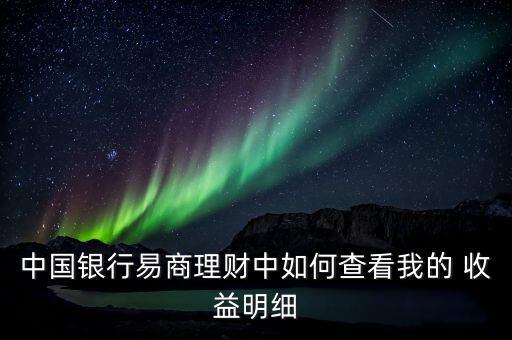 中國銀行易商理財中如何查看我的 收益明細