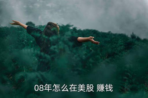 08年怎么在美股 賺錢