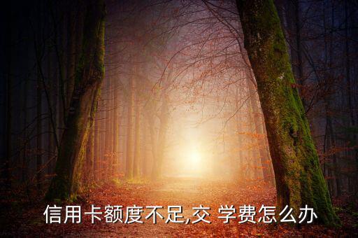  信用卡額度不足,交 學(xué)費(fèi)怎么辦