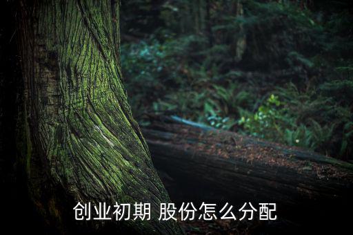 創(chuàng)業(yè)初期 股份怎么分配