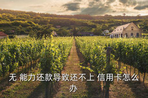 無 能力還款導致還不上 信用卡怎么辦