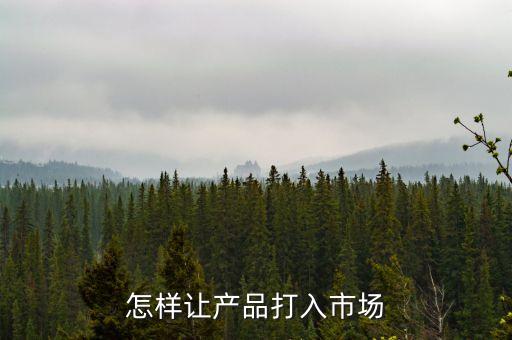 發(fā)電商采用什么方式行使市場力，網(wǎng)絡(luò)營銷中企業(yè)采取哪些方式來吸引顧客開拓市場