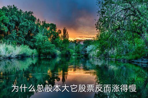 為什么大盤股不容易漲，今天大盤怎么拉為什么不漲呀
