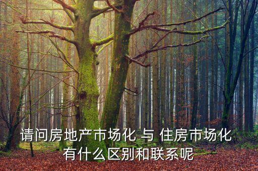 什么是房地產(chǎn)市場(chǎng)化，房地產(chǎn)市場(chǎng)分化甚么意思