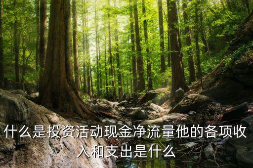 什么是投資活動現(xiàn)金凈流量他的各項(xiàng)收入和支出是什么