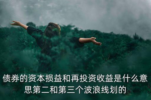 債券的資本損益和再投資收益是什么意思第二和第三個(gè)波浪線劃的