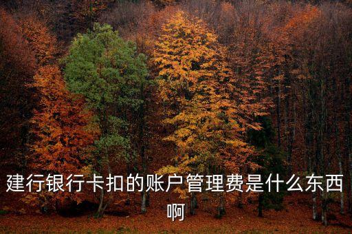 建設(shè)銀行的賬戶管理費(fèi)是什么，建行銀行卡扣的賬戶管理費(fèi)是什么東西啊
