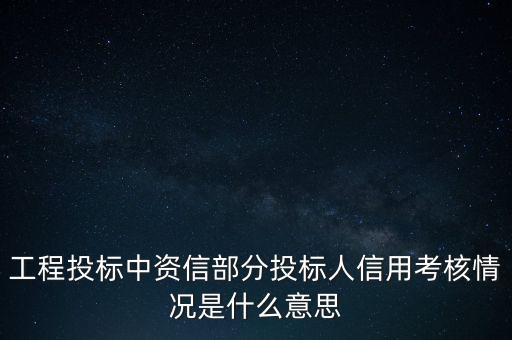 工程投標(biāo)中資信部分投標(biāo)人信用考核情況是什么意思